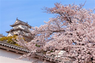 Japan weather forecast