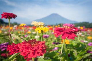 Japan weather forecast