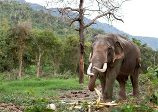 Kenia prognoza pogody