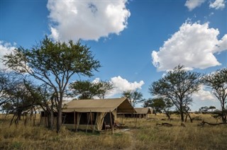 Kenya weather forecast