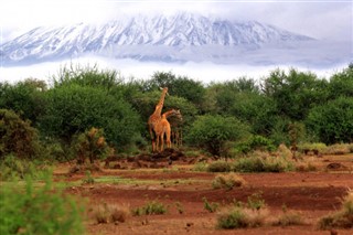 Kenya weather forecast