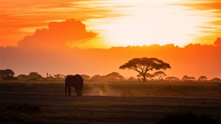 Kenya weather forecast