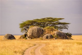 Kenya weather forecast