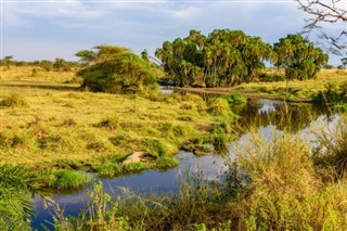 Kenya weather forecast