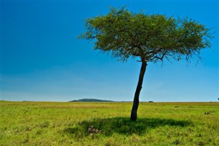 Kenya weather forecast