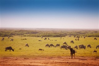 Kenya weather forecast