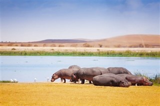 Kenya weather forecast