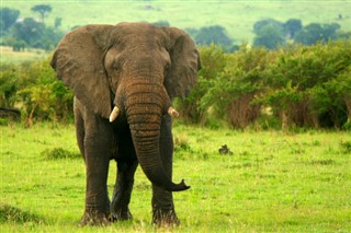 Kenia pronóstico del tiempo