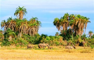 Kenya weather forecast