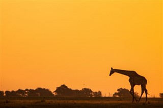 Kenya weather forecast