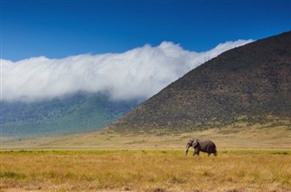 Kenya weather forecast