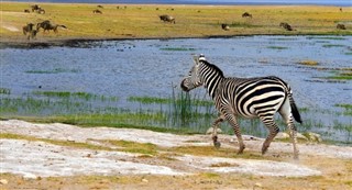 Kenia pronóstico del tiempo