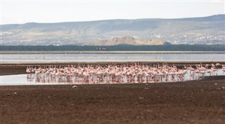 Kenia prognoza pogody