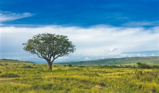 Kenya weather forecast