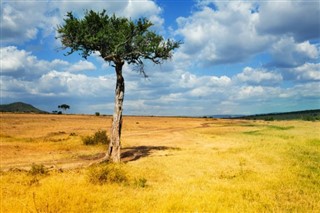 Kenya weather forecast