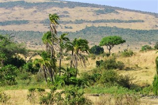 Kenya weather forecast