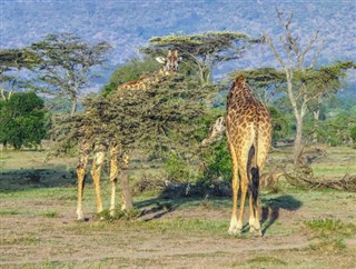 Kenia pronóstico del tiempo