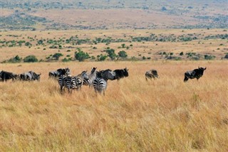 Kenia prognoza pogody