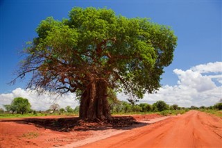 Kenya weather forecast