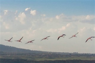 Kenya weather forecast