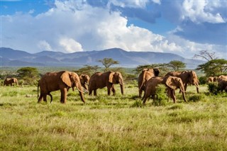 Kenya weather forecast