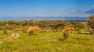 Kenya weather forecast