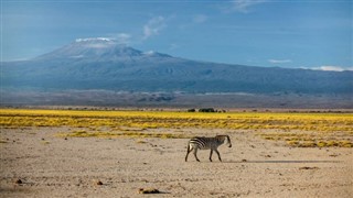 Kenya weather forecast