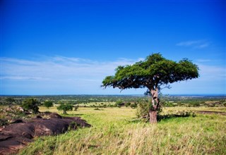 Kenia prognoza pogody