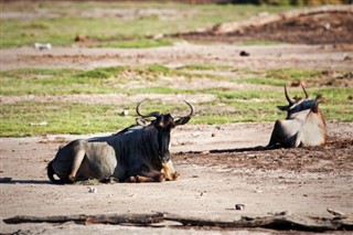 Kenia prognoza pogody