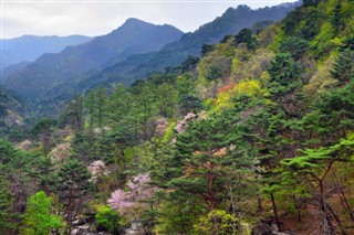 Korea, North weather forecast