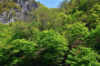 Korea, North weather forecast