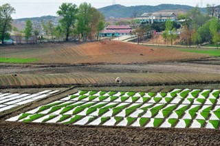 Korea, North weather forecast