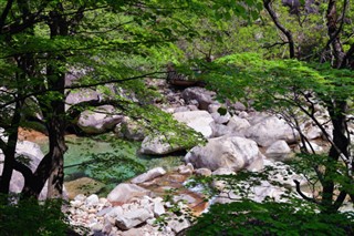 Korea, North weather forecast