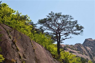 Korea Północna prognoza pogody