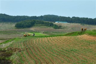 Korea, North weather forecast