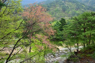 Korea, North weather forecast