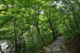 Korea, North weather forecast