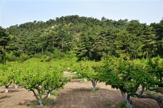 Korea, North weather forecast