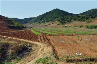 Korea, North weather forecast