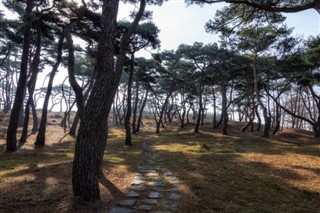 South Korea weather forecast