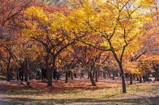 South Korea weather forecast