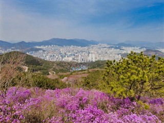 South Korea weather forecast