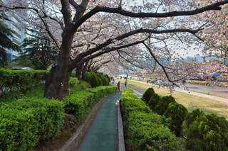 South Korea weather forecast