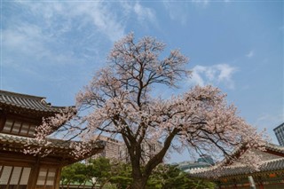 South Korea weather forecast