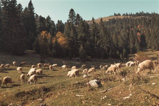 Kosowo prognoza pogody