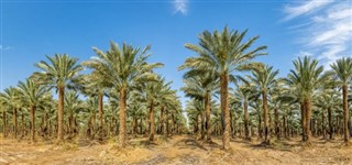 Kuwait pronóstico del tiempo