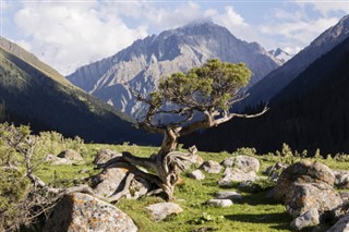 Kyrgyzstan weather forecast