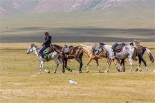 Kyrgyzstan weather forecast