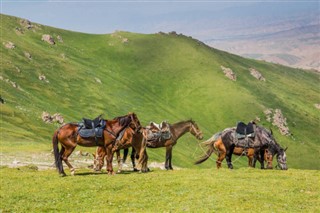 Kyrgyzstan weather forecast