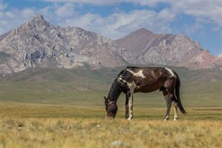 Kyrgyzstan weather forecast